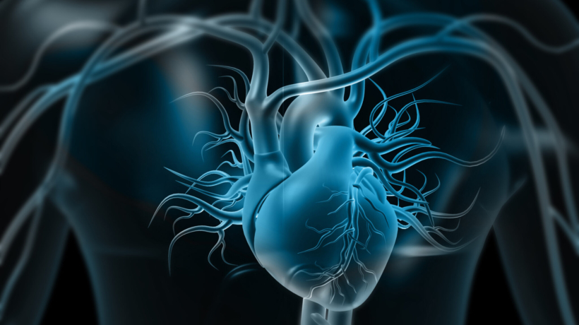 Coronary CT Angiography (CCTA)